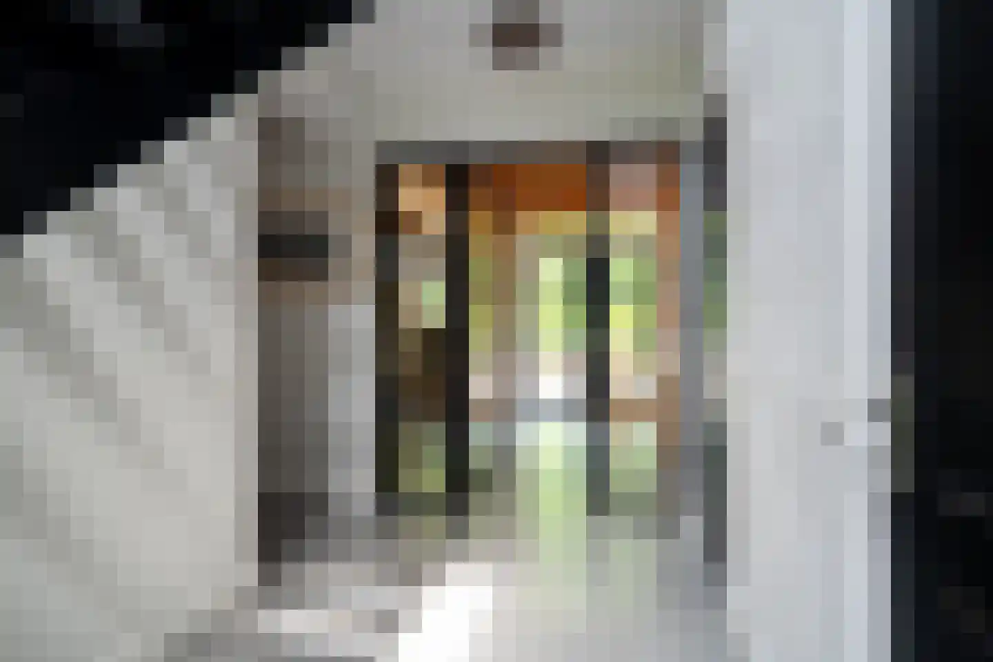 Vijftig Bunder 3 Midlaren thumbnail 66
