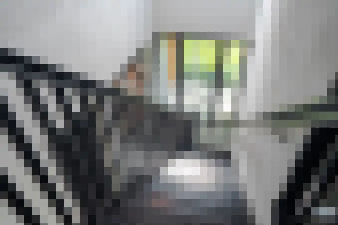 Vijftig Bunder 3 Midlaren thumbnail 68