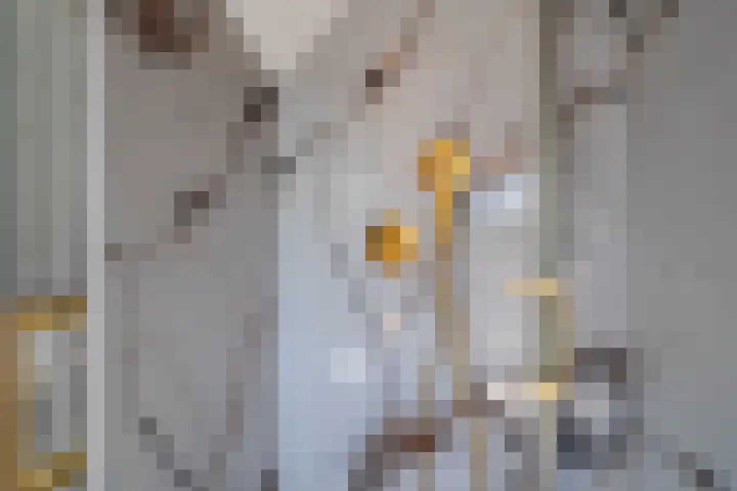 Vijftig Bunder 3 Midlaren thumbnail 88