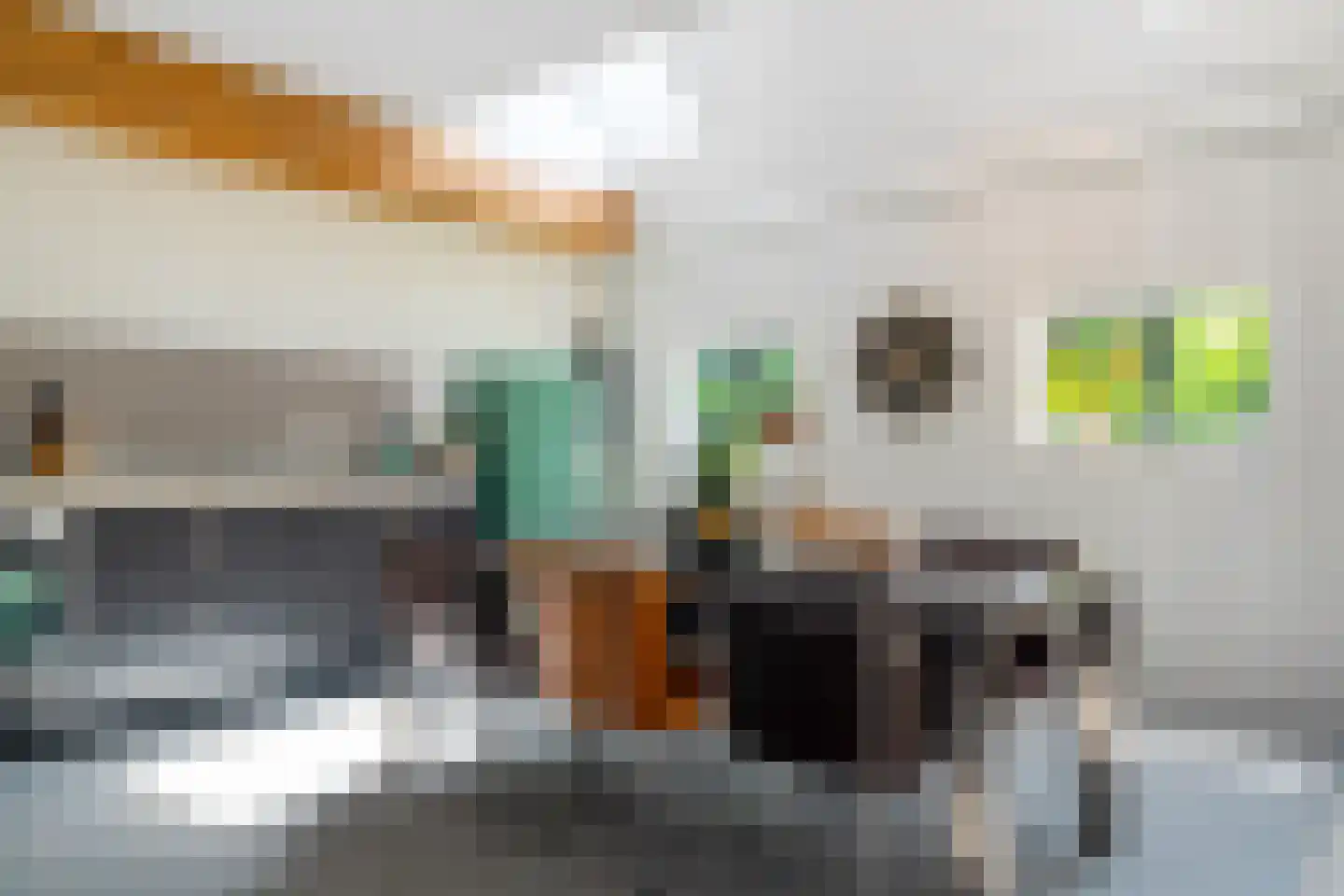 Vijftig Bunder 3 Midlaren thumbnail 97