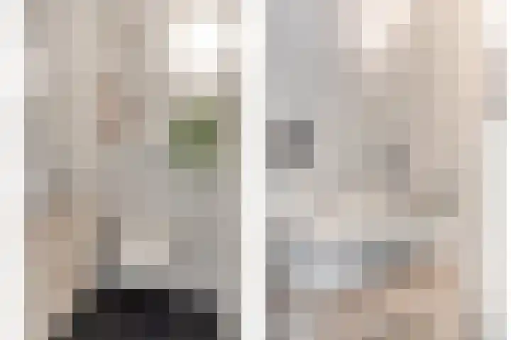 Vijfvingerkruid 10 Amersfoort thumbnail 10