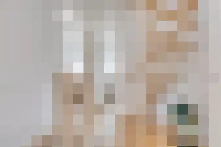 Vijfvingerkruid 10 Amersfoort thumbnail 11
