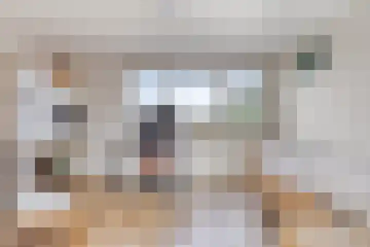 Vijfvingerkruid 10 Amersfoort thumbnail 19
