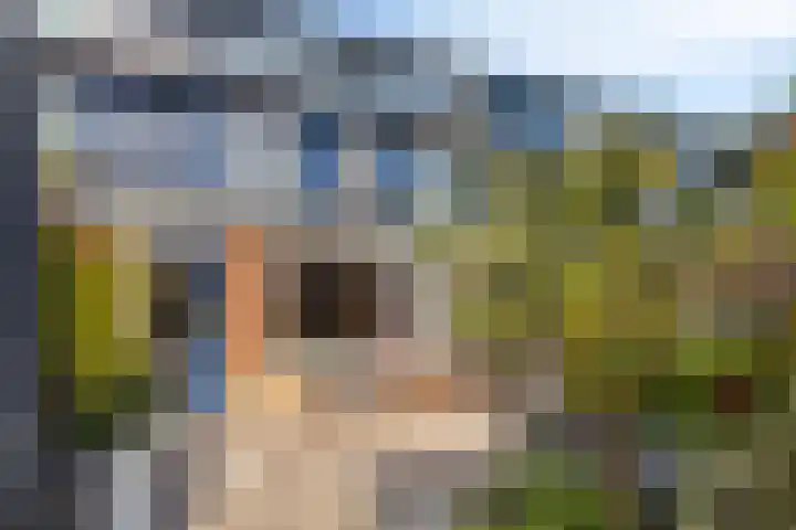 Vijfvingerkruid 10 Amersfoort thumbnail 21