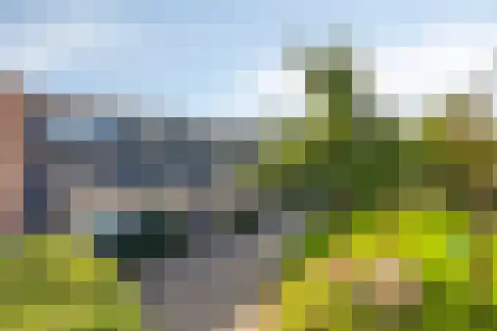 Vijfvingerkruid 10 Amersfoort thumbnail 22