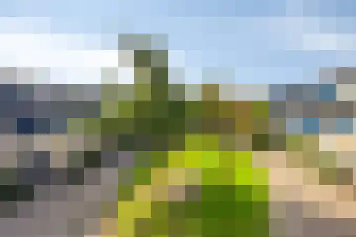 Vijfvingerkruid 10 Amersfoort thumbnail 23
