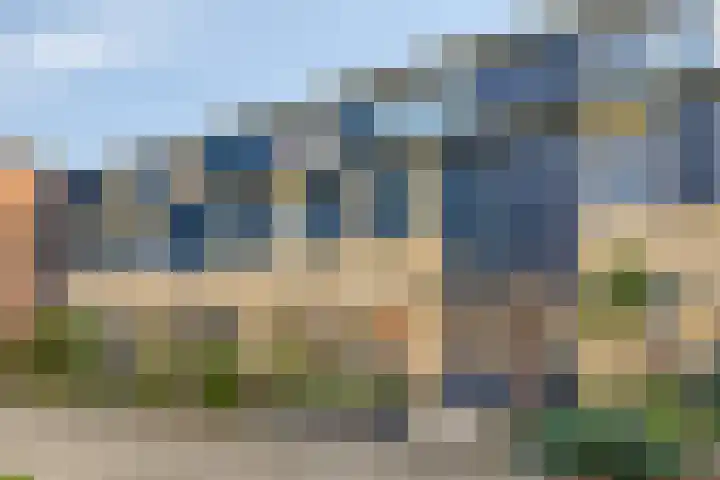 Vijfvingerkruid 10 Amersfoort thumbnail 27