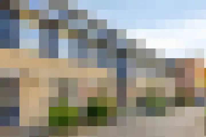 Vijfvingerkruid 10 Amersfoort thumbnail 28