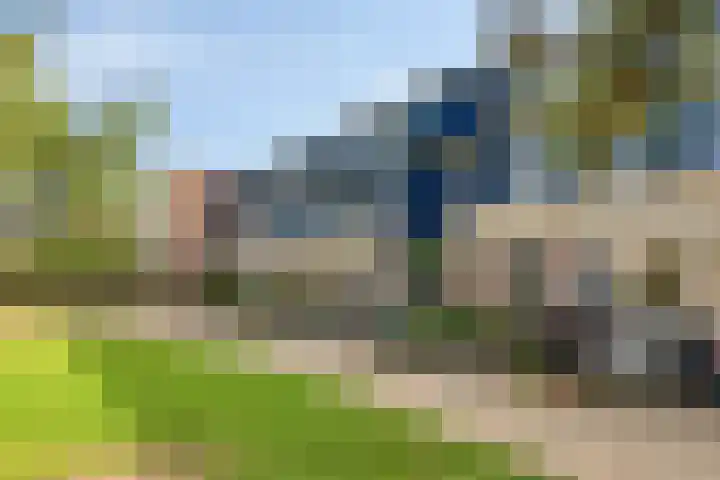 Vijfvingerkruid 10 Amersfoort thumbnail 29