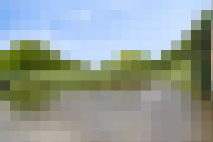Vijfvingerkruid 10 Amersfoort thumbnail 31