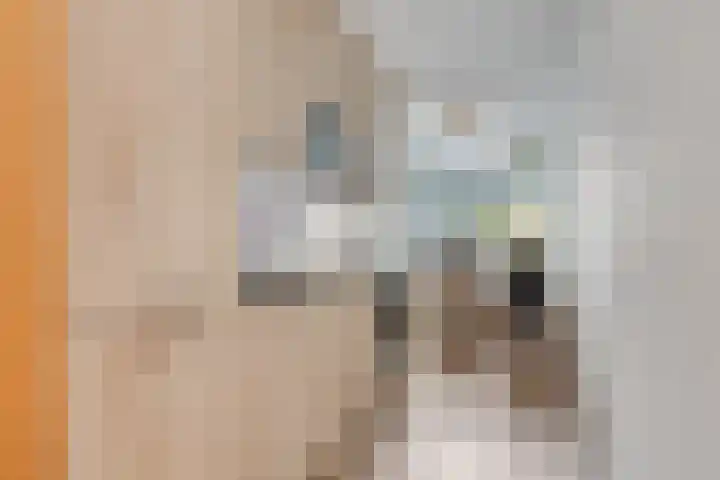 Vijfvingerkruid 10 Amersfoort thumbnail 8