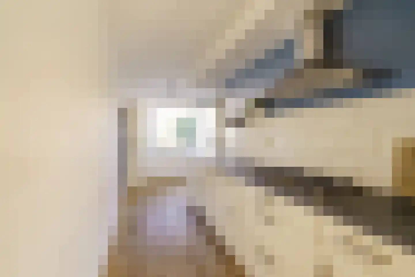 Vijfvingerkruid 16 Amersfoort thumbnail 10