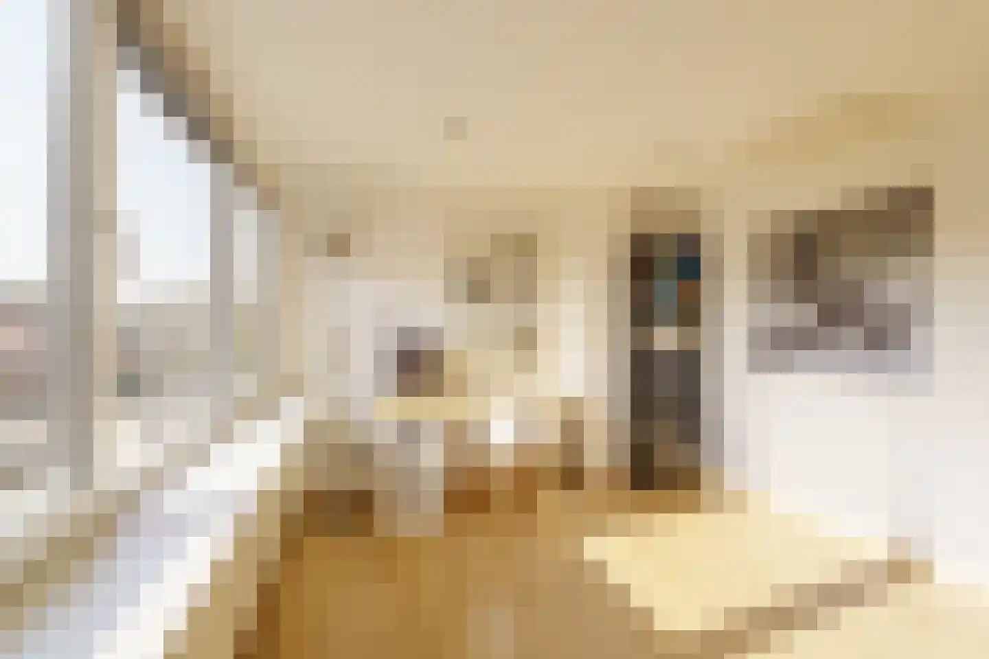 Vijfvingerkruid 16 Amersfoort thumbnail 31