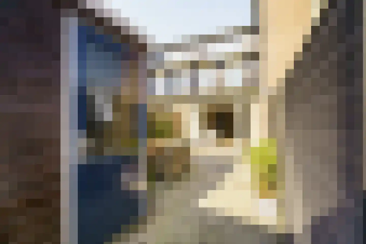 Vijfvingerkruid 16 Amersfoort thumbnail 34