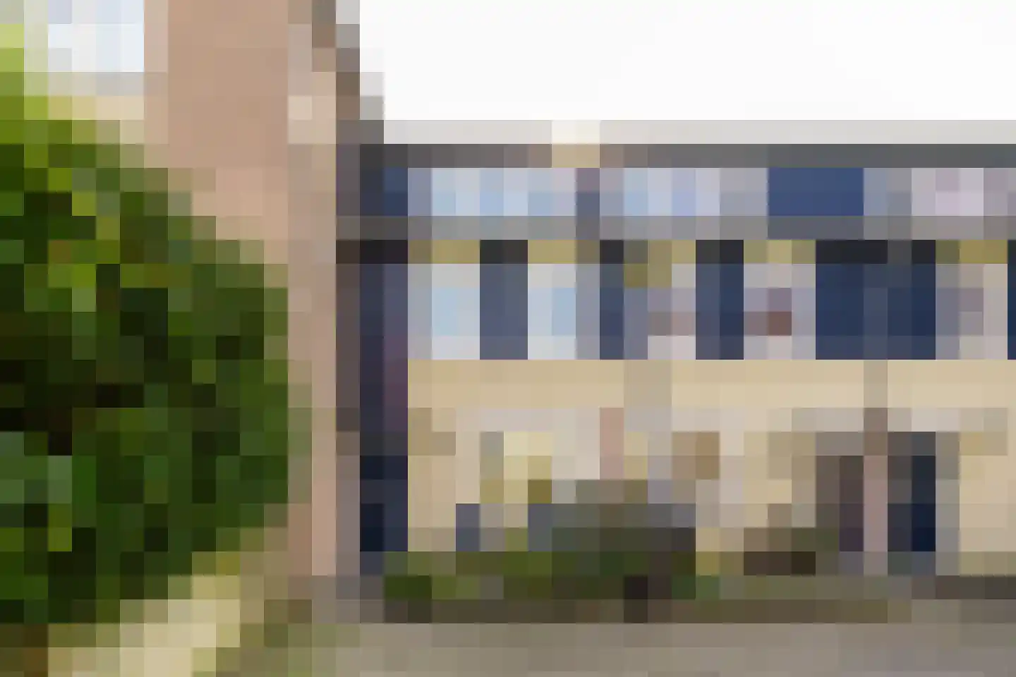 Vijfvingerkruid 16 Amersfoort thumbnail 36