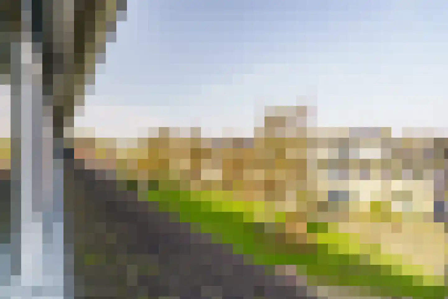 Vijfvingerkruid 16 Amersfoort thumbnail 37
