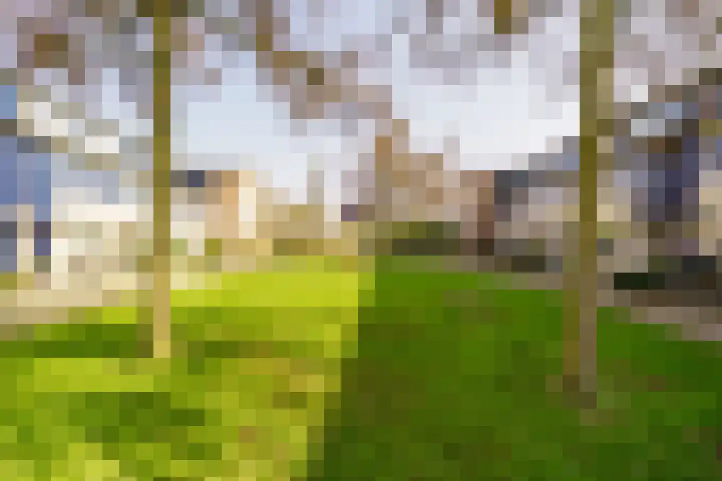 Vijfvingerkruid 16 Amersfoort thumbnail 39