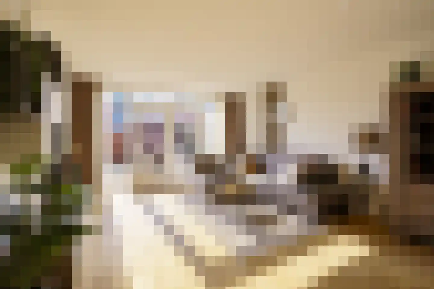 Vijfvingerkruid 16 Amersfoort thumbnail 4