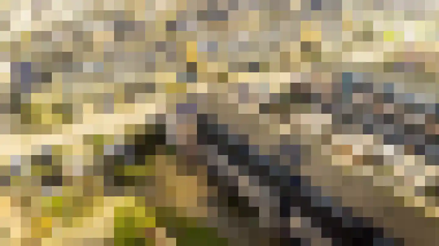Vijfvingerkruid 16 Amersfoort thumbnail 41