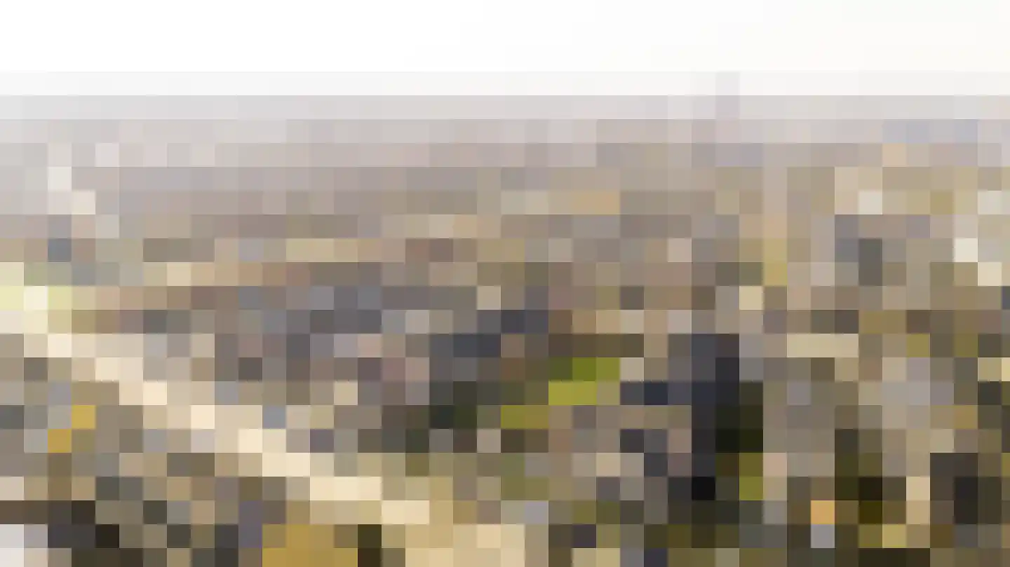 Vijfvingerkruid 16 Amersfoort thumbnail 43