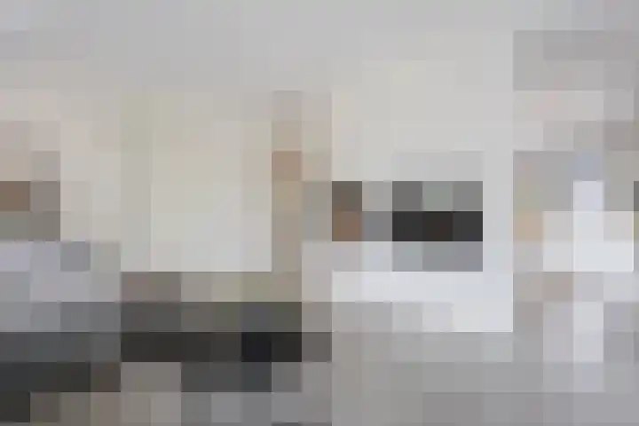 Vijfvingerkruid 16 Berghem thumbnail 10