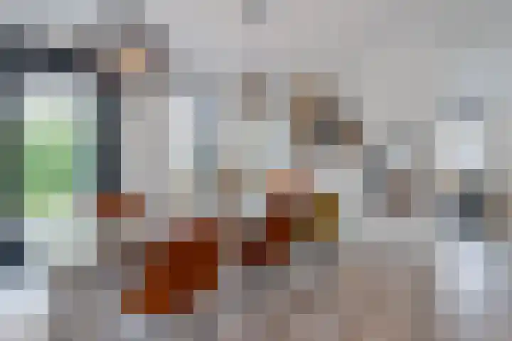 Vijfvingerkruid 16 Berghem thumbnail 16