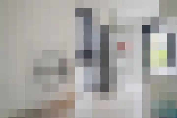Vijfvingerkruid 16 Berghem thumbnail 17