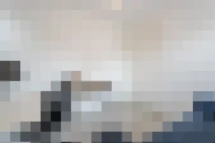 Vijfvingerkruid 16 Berghem thumbnail 20