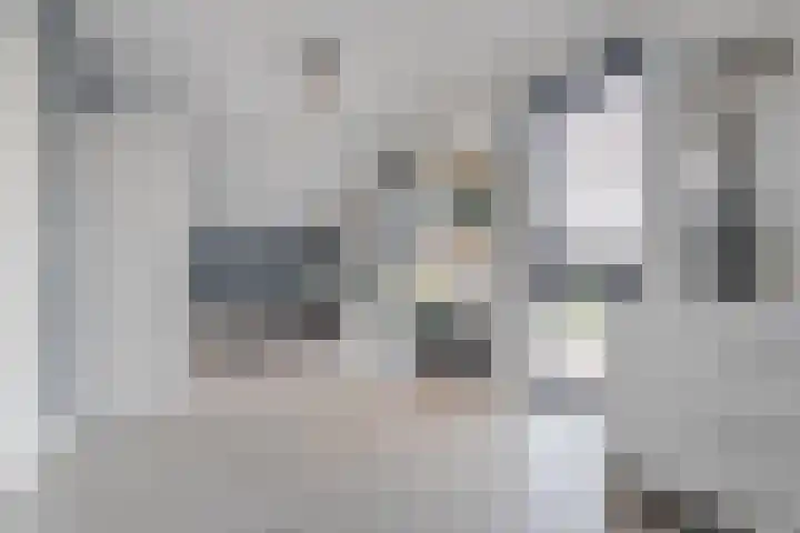 Vijfvingerkruid 16 Berghem thumbnail 28