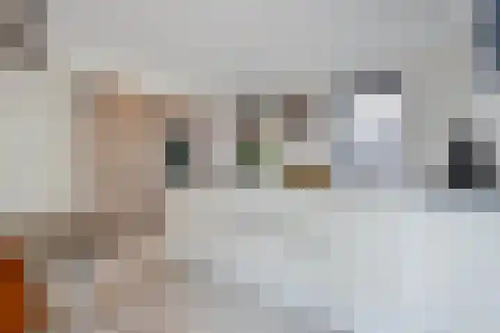 Vijfvingerkruid 16 Berghem foto 3