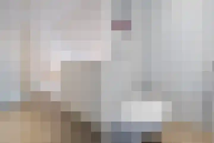 Vijfvingerkruid 16 Berghem thumbnail 32