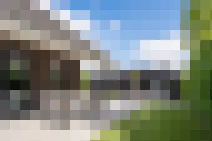 Vijfvingerkruid 16 Berghem thumbnail 37