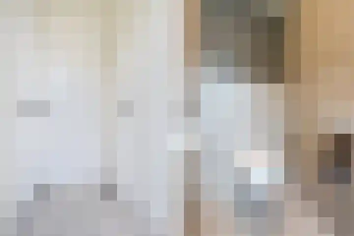 Vijfvingerkruid 16 Berghem thumbnail 41