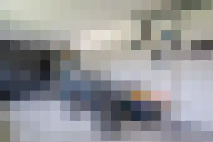 Vijfvingerkruid 16 Berghem thumbnail 42