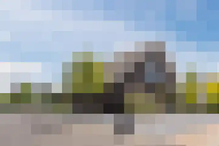 Vijfvingerkruid 16 Berghem thumbnail 47