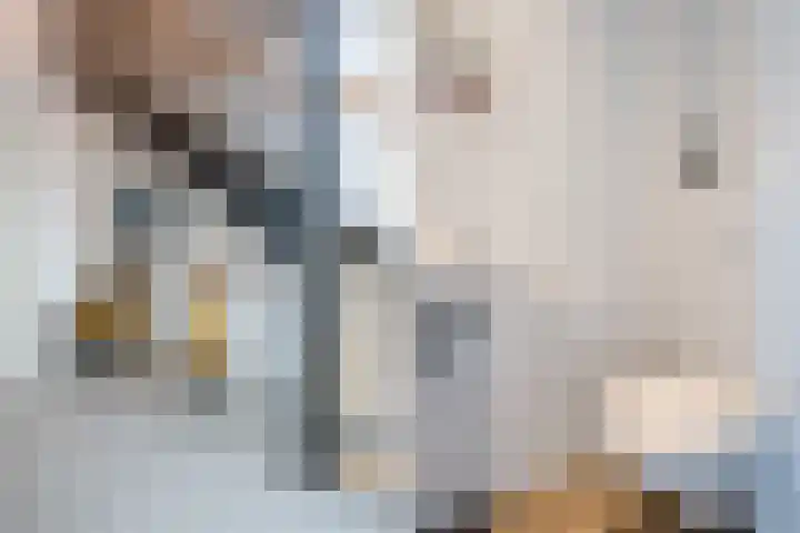 Vijfvingerkruid 16 Berghem thumbnail 7