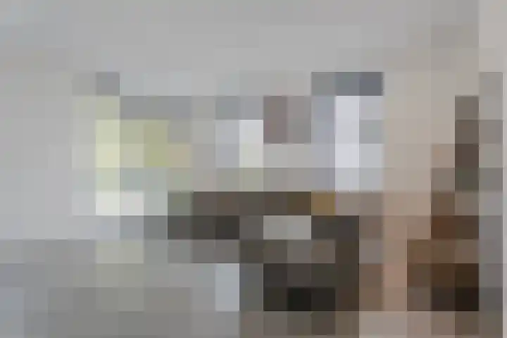 Vijfvingerkruid 16 Berghem thumbnail 8