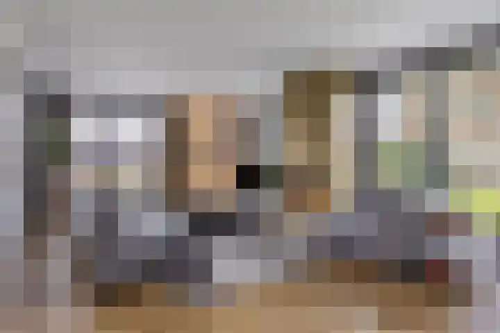 Vijfvingerkruid 19 Berghem thumbnail 10