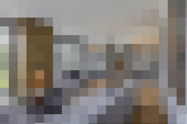 Vijfvingerkruid 19 Berghem thumbnail 13