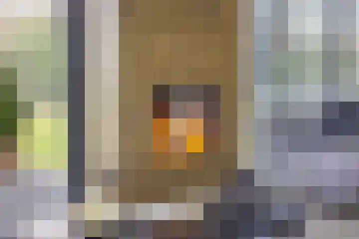 Vijfvingerkruid 19 Berghem thumbnail 14