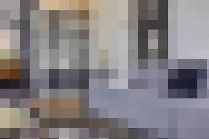 Vijfvingerkruid 19 Berghem thumbnail 15