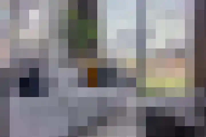 Vijfvingerkruid 19 Berghem thumbnail 17