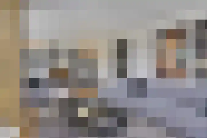 Vijfvingerkruid 19 Berghem thumbnail 18