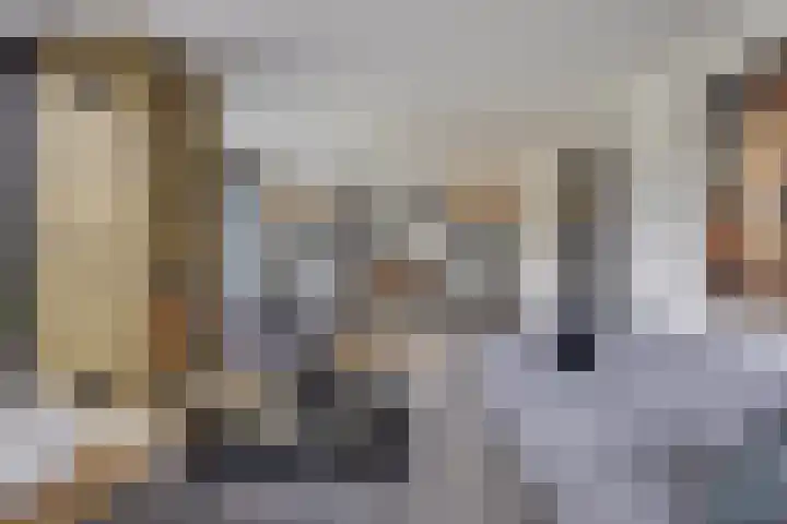 Vijfvingerkruid 19 Berghem thumbnail 19