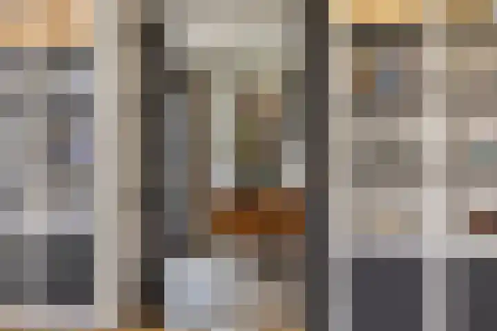 Vijfvingerkruid 19 Berghem thumbnail 21