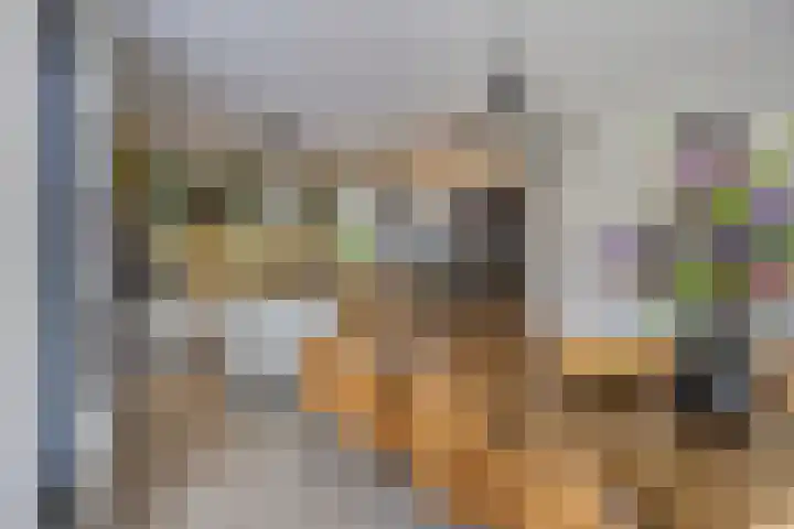 Vijfvingerkruid 19 Berghem thumbnail 22