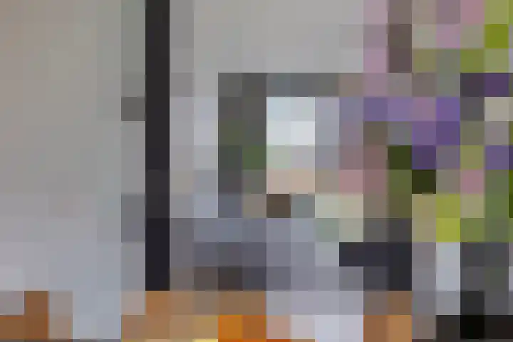 Vijfvingerkruid 19 Berghem thumbnail 24