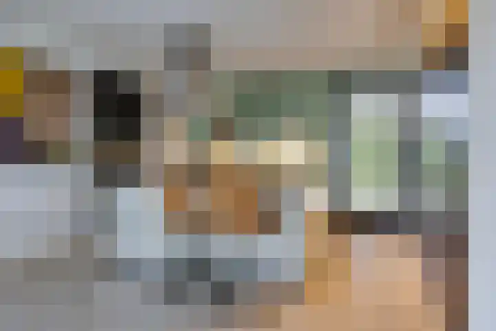 Vijfvingerkruid 19 Berghem thumbnail 25