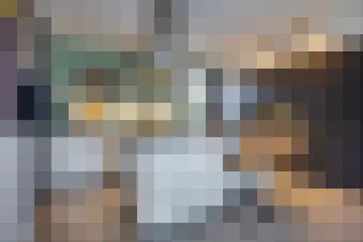 Vijfvingerkruid 19 Berghem thumbnail 26