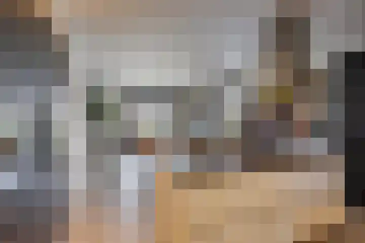 Vijfvingerkruid 19 Berghem thumbnail 28